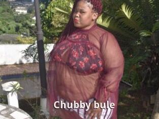 Chubby_bule