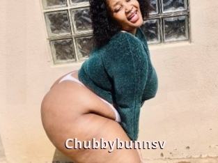 Chubbybunnsv