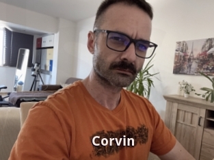 Corvin