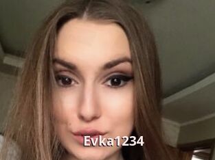 Evka1234