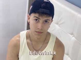 Edutwinkk