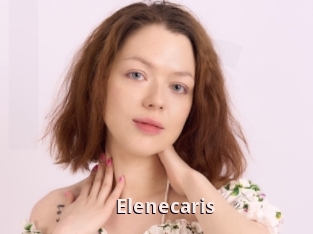 Elenecaris