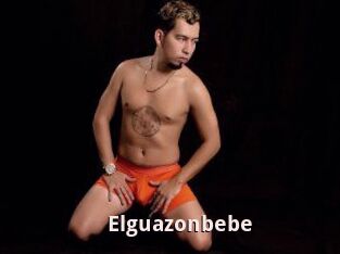 Elguazonbebe