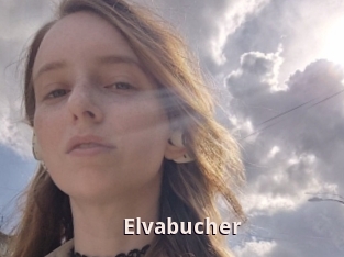 Elvabucher