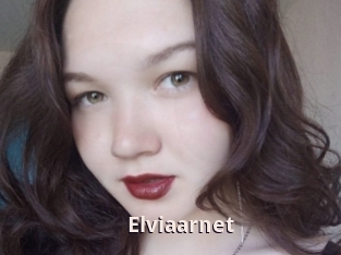 Elviaarnet