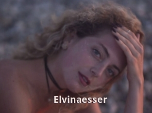 Elvinaesser