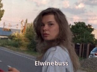 Elwinebuss