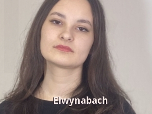 Elwynabach