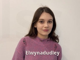 Elwynadudley