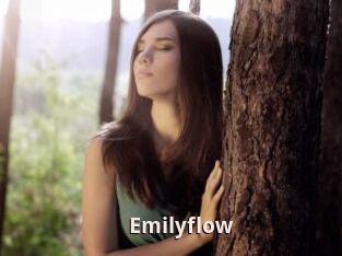 Emilyflow