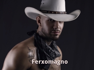 Ferxomagno