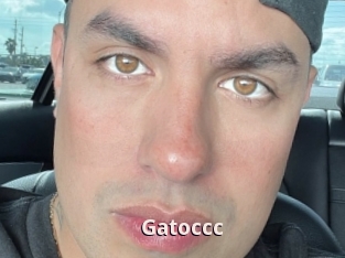 Gatoccc