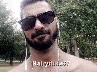 Hairydude87