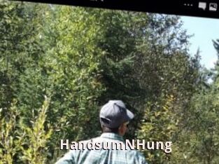 HandsumNHung