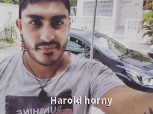 Harold_horny