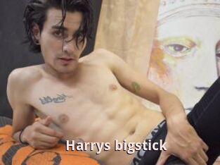 Harrys_bigstick