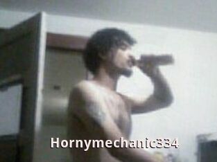 Hornymechanic334