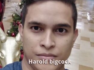 Harold_bigcock