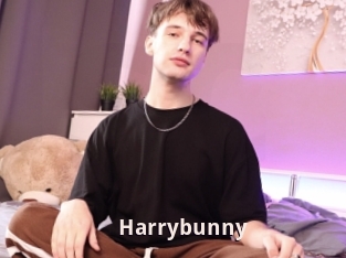 Harrybunny