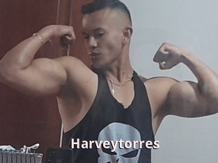 Harveytorres