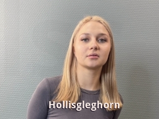 Hollisgleghorn