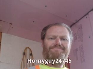 Hornyguy24745