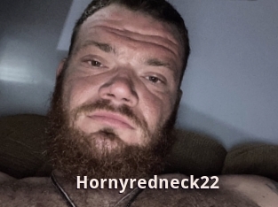 Hornyredneck22