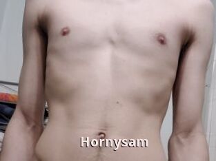 Hornysam