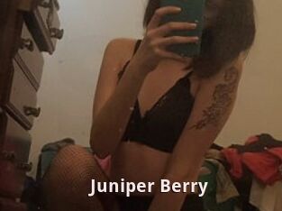 Juniper_Berry