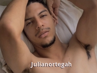 Julianortegah