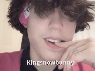 Kingsnowbunny