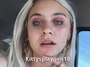 Kittysplaypen18