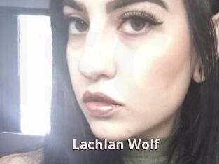 Lachlan_Wolf