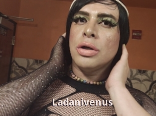 Ladanivenus