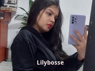 Lilybosse