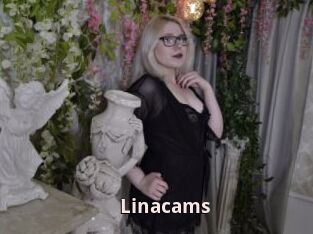 Linacams