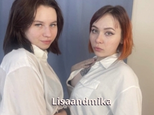 Lisaandmika