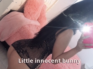 Little_innocent_bunny