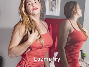 Luzmerry