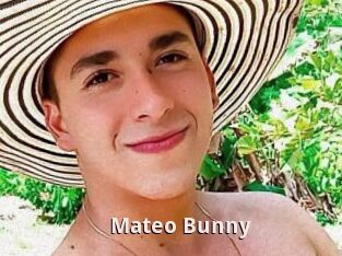 Mateo_Bunny