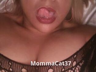 MommaCat37