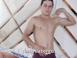 Marcusorgus