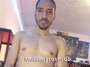 Melaneyrosesub