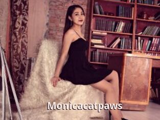 Monicacatpaws