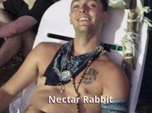 Nectar_Rabbit