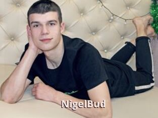 NigelBud