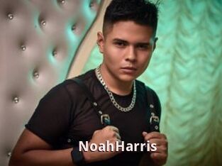 NoahHarris