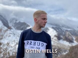 OSTIN_WELLS