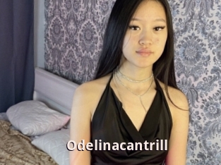 Odelinacantrill