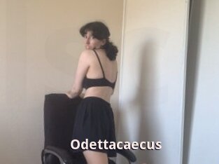 Odettacaecus